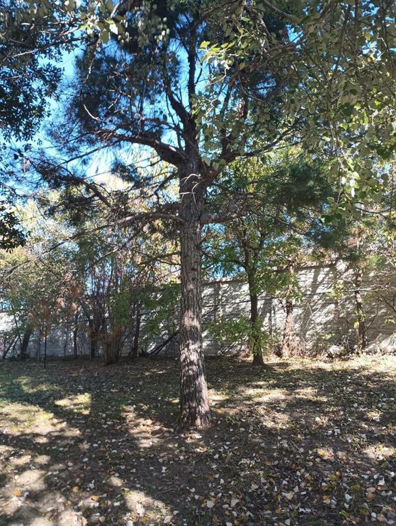 Waverly Park Add - Residential