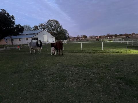 Tiny photo for 9470 S Highway 377, Pilot Point, TX 76258 (MLS # 20905390)