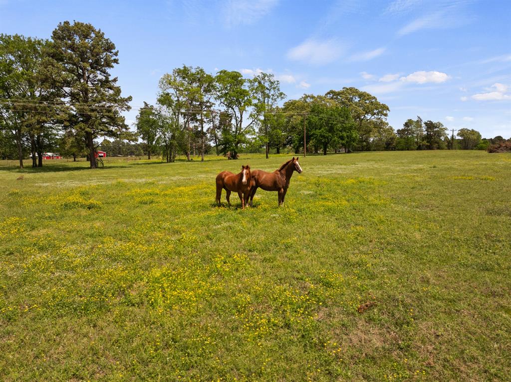 Private - Residential