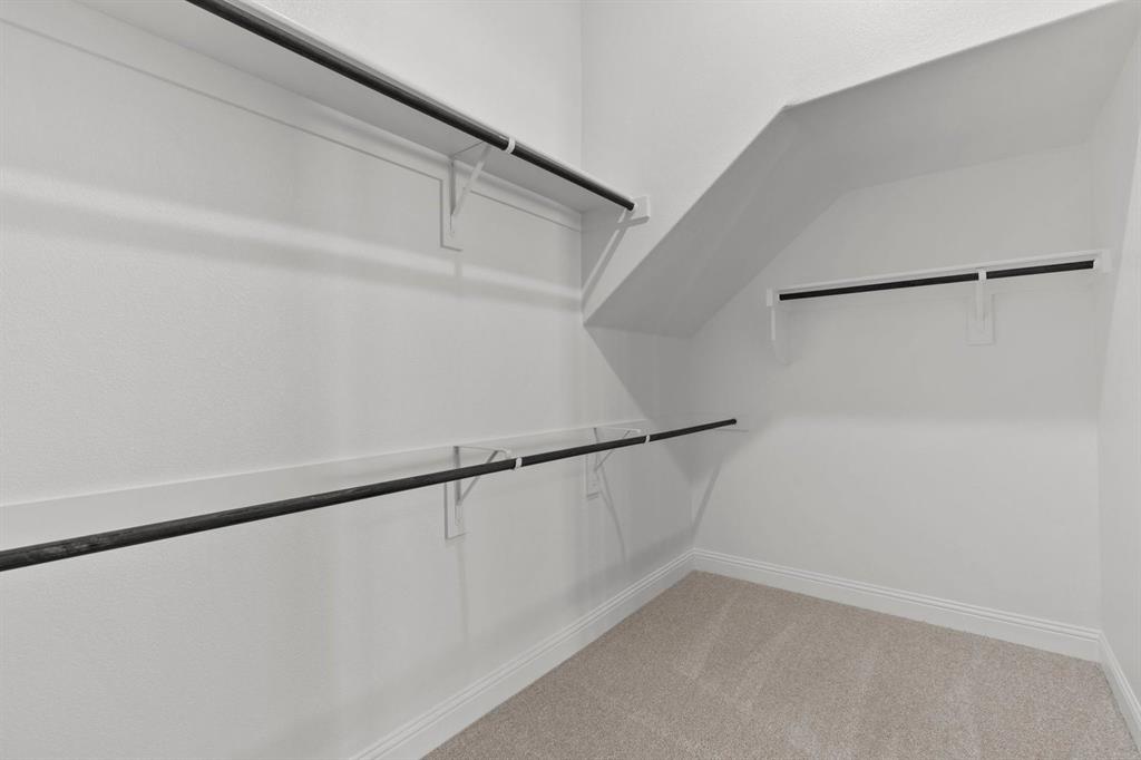 Painted Tree - Residential