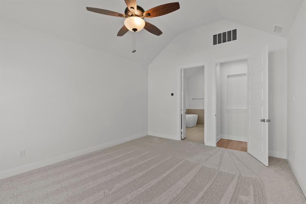 Painted Tree - Residential