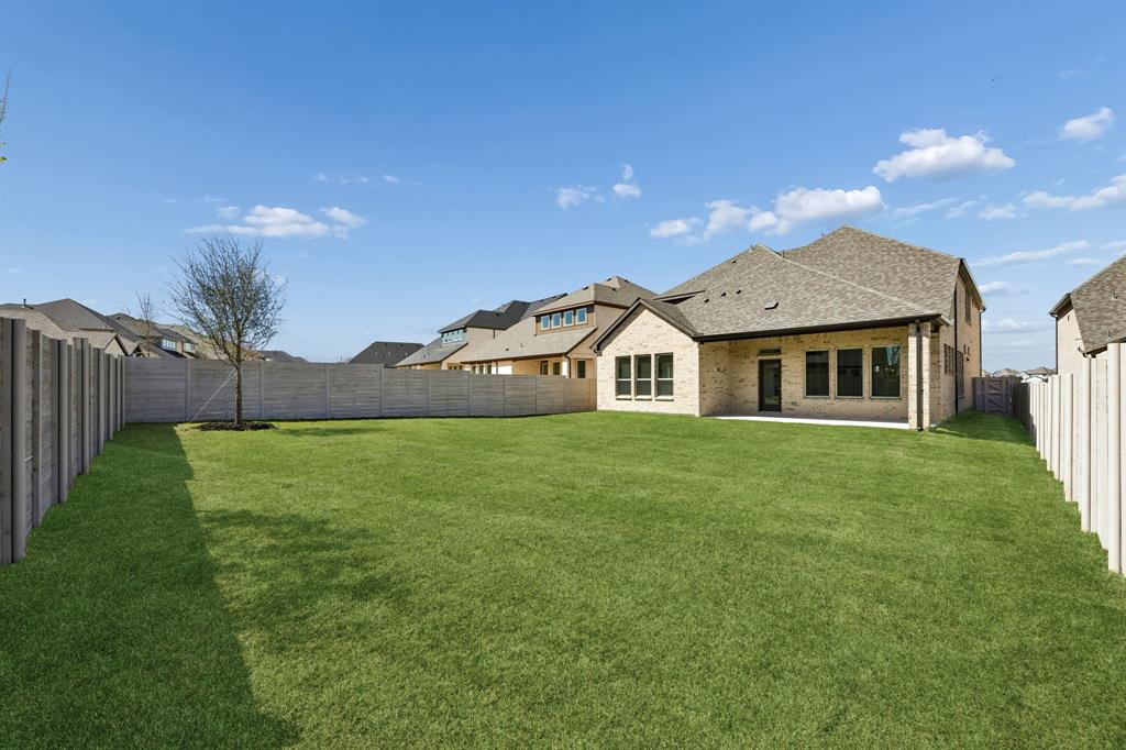 Painted Tree - Residential