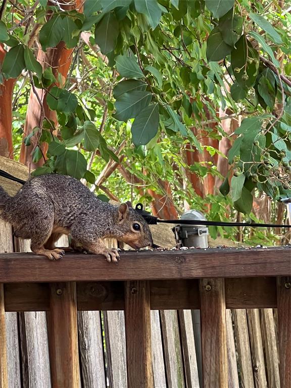 Fairway Vista At Las Colinas Ph 01 - Residential Lease