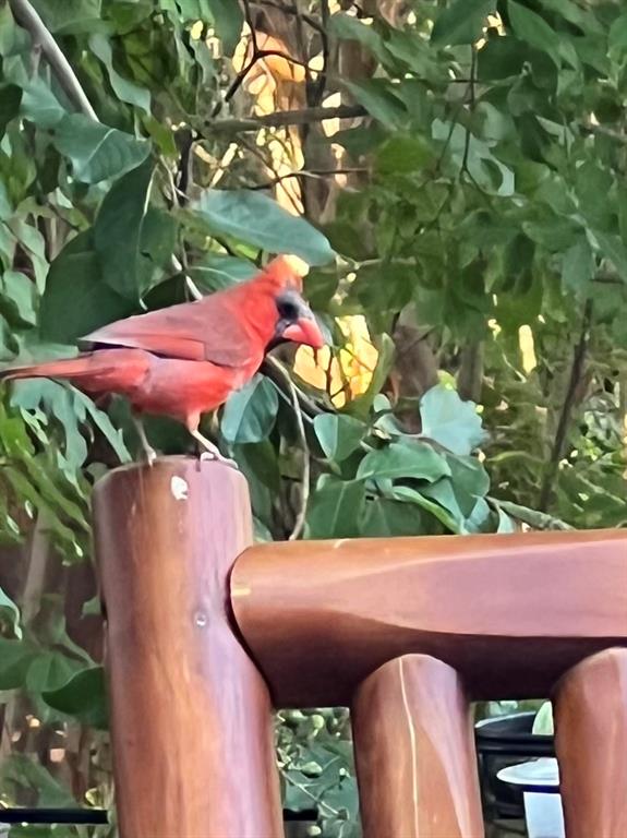 Fairway Vista At Las Colinas Ph 01 - Residential Lease