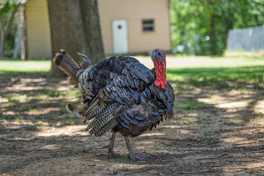 F Mcmahon Surv Abs #378 - Residential