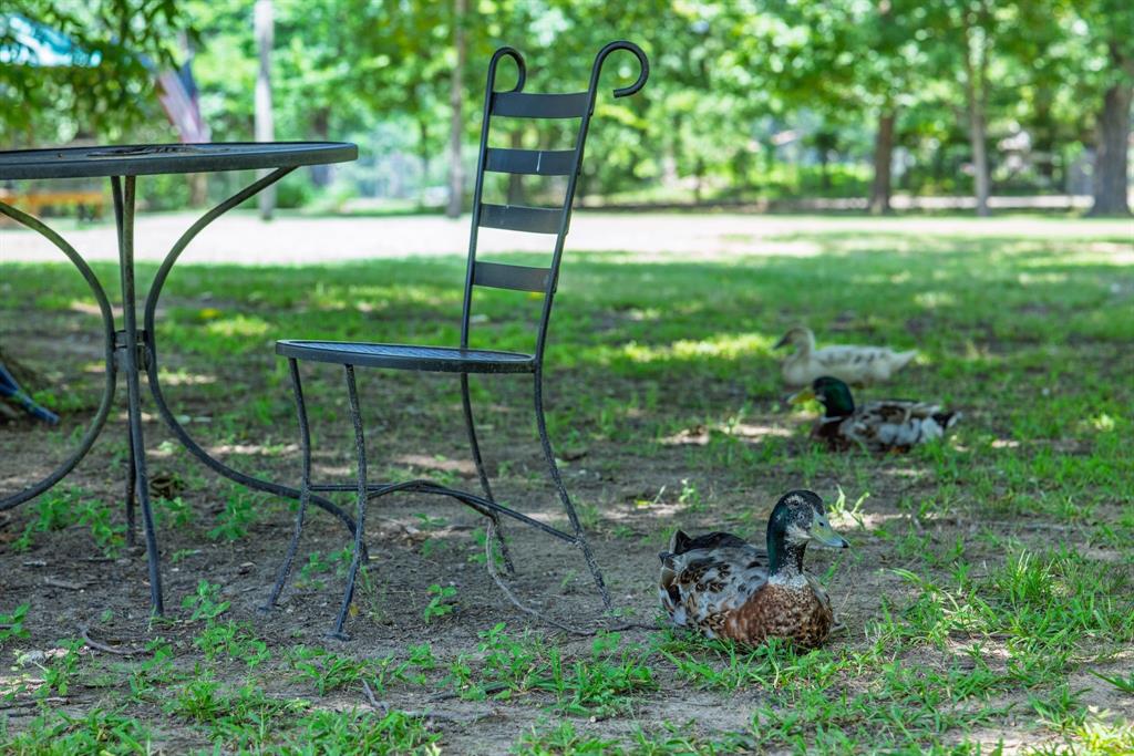 F Mcmahon Surv Abs #378 - Residential