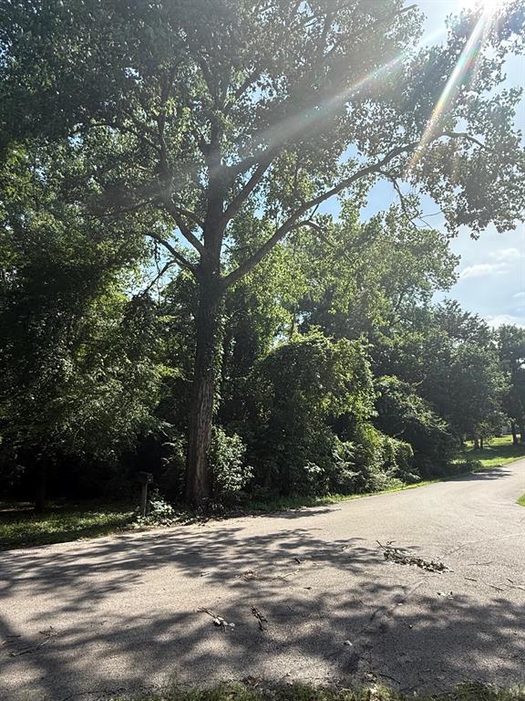 Cedarcrest Shores Estate - Land