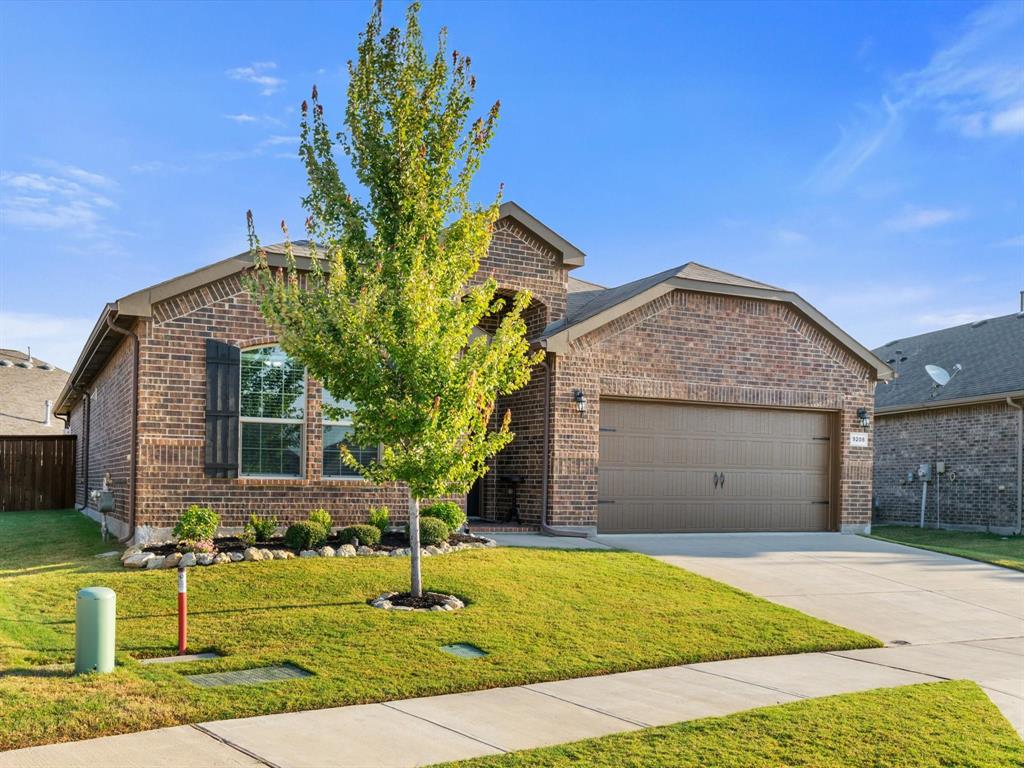 9208 Lace Cactus Drive