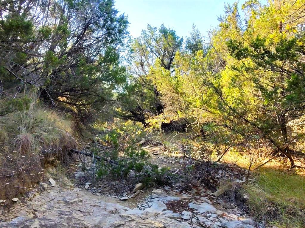 A0270 FORBES BENJAMIN; A0198 - Farm