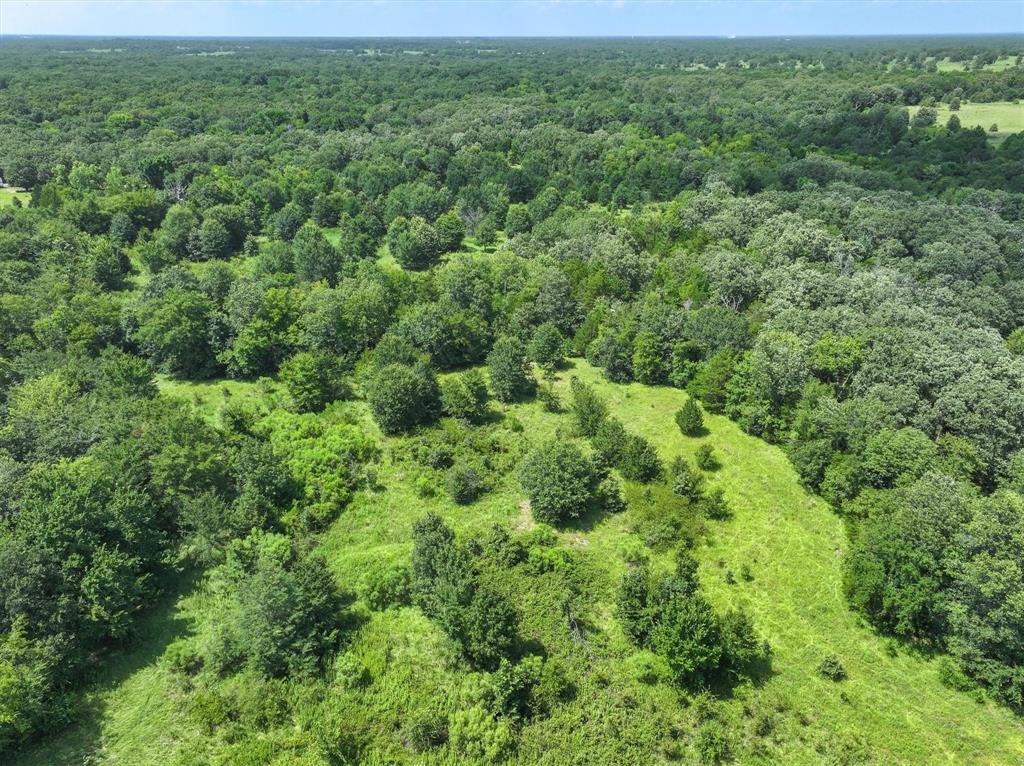 J Saligun Surv Abst 765 - Land