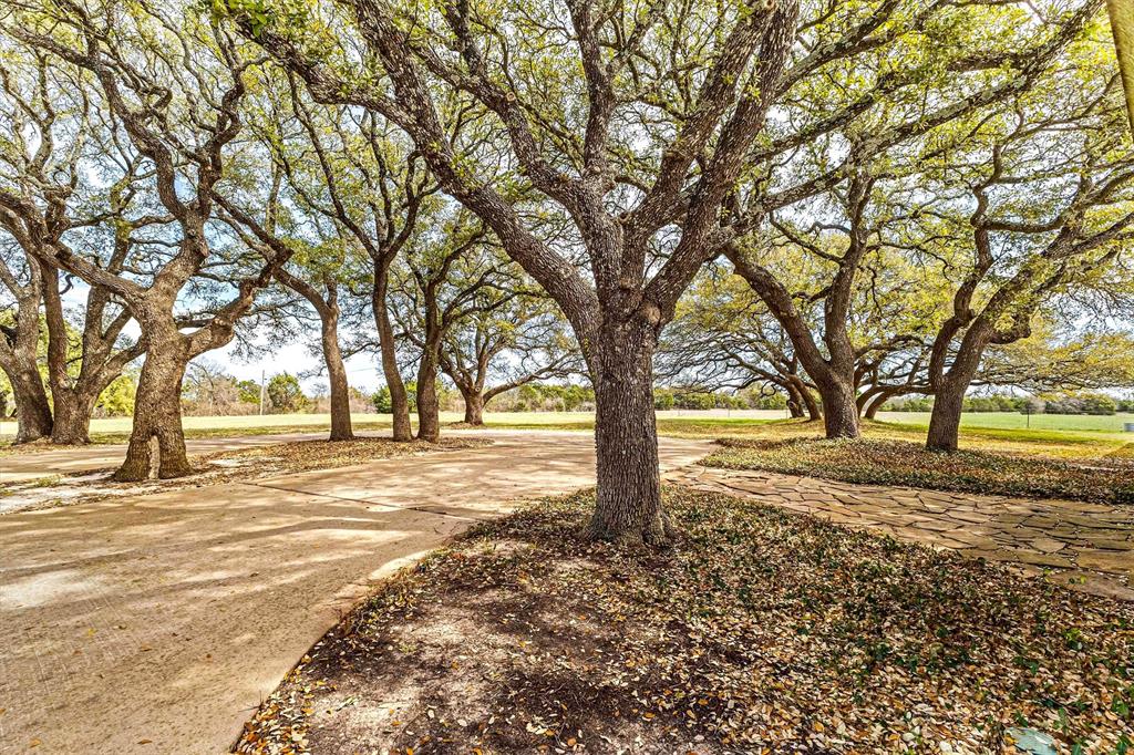 121.5 ac. TBD N Lone Star Parkway