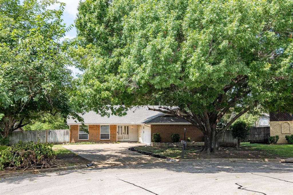 9009 Tioga Court