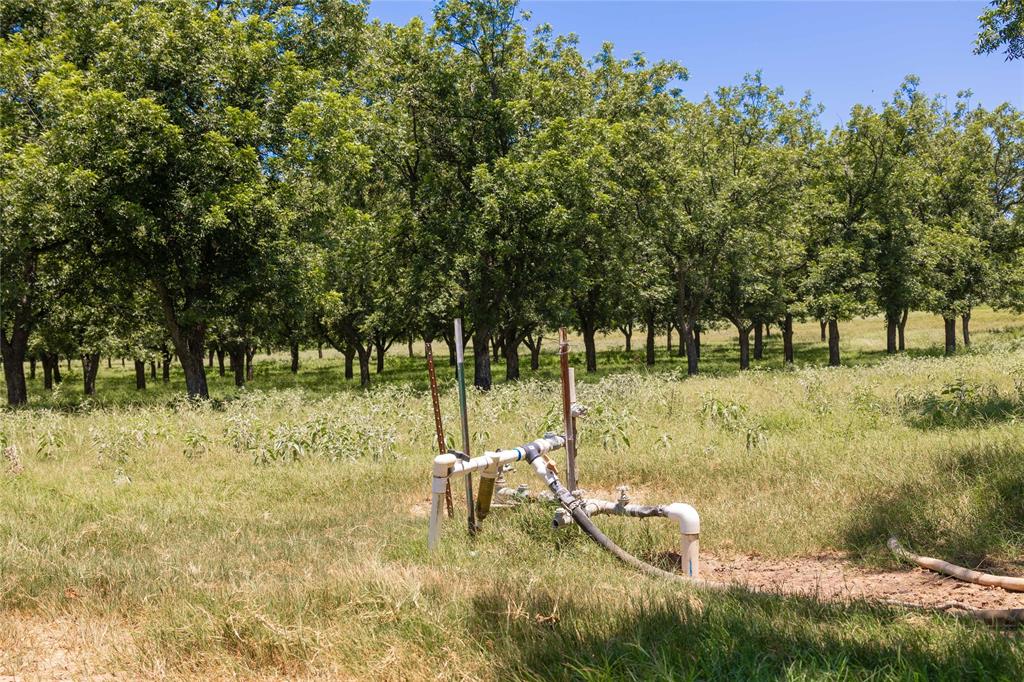 Wolfe Pecanlands Dev 40 - Land