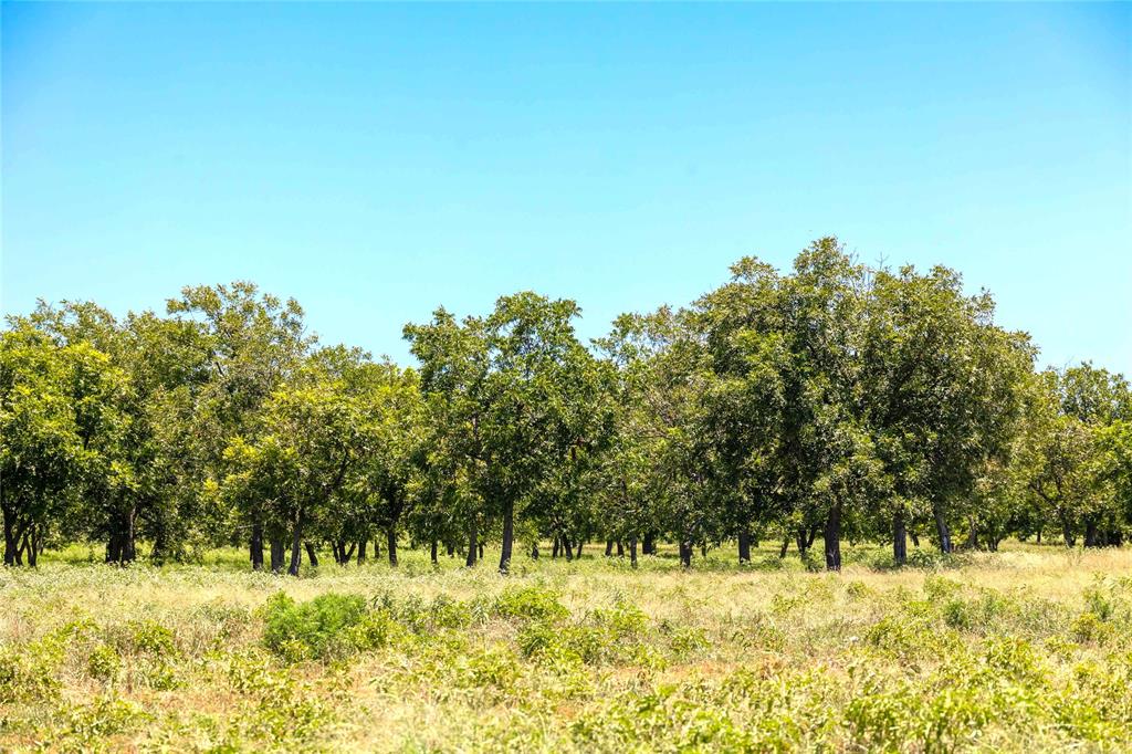 Wolfe Pecanlands Dev 40 - Land