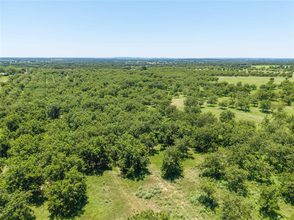 164.08 Acres TBD FM 2318