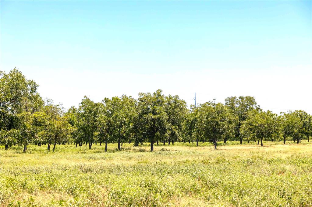 164.08 Acres TBD FM 2318