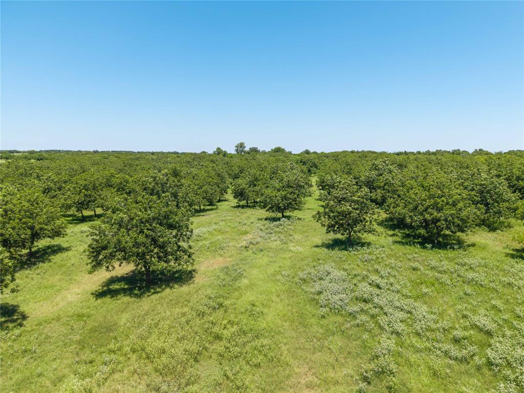 164.08 Acres TBD FM 2318