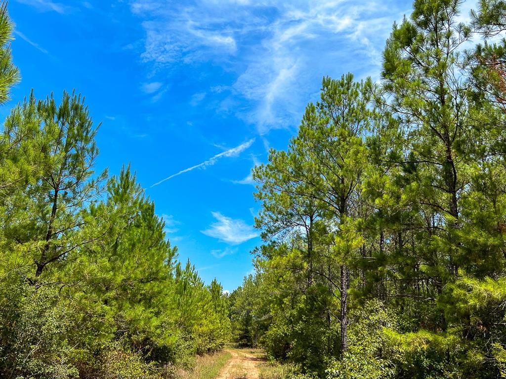 0 Lost Indian Camp Rd