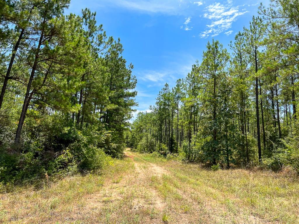 0 Lost Indian Camp Rd