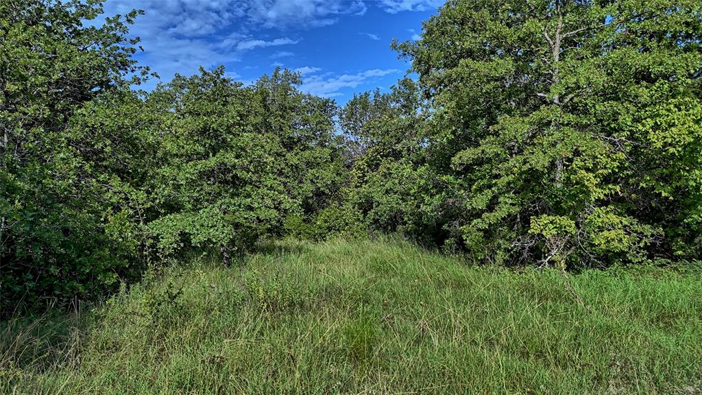 Harriet Brown Survey - Residential