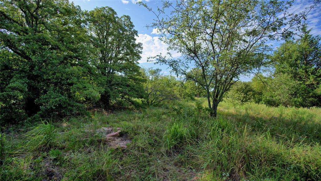 Harriet Brown Survey - Residential