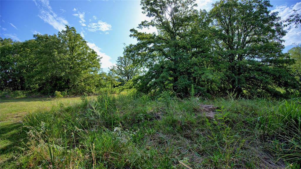 Harriet Brown Survey - Residential