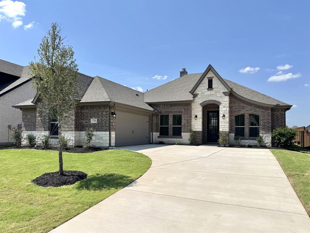 7725 Sweet Sorghum Street