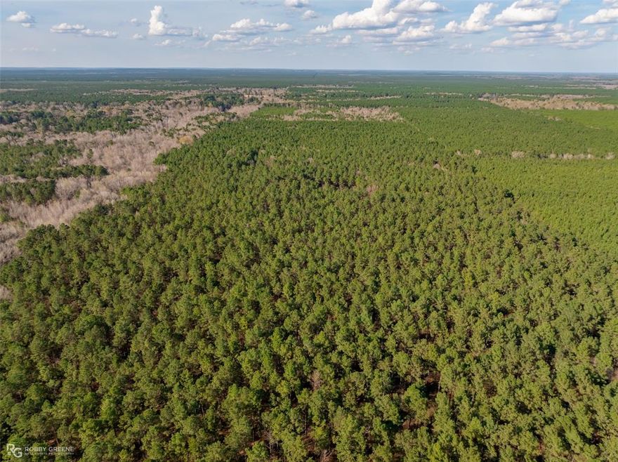 This 100-acre property in a great Benton location offers a mix of mature pine and hardwood timber, with Dry Cypress Creek running through it. It’s a beautiful piece of land with real potential—whether you're looking to build a private home, use it for recreation, or hold it as a long-term timber investment. Large tracts like this don’t come up often in this area. If you’ve been looking for space, privacy, and room to grow, this one’s worth a look.