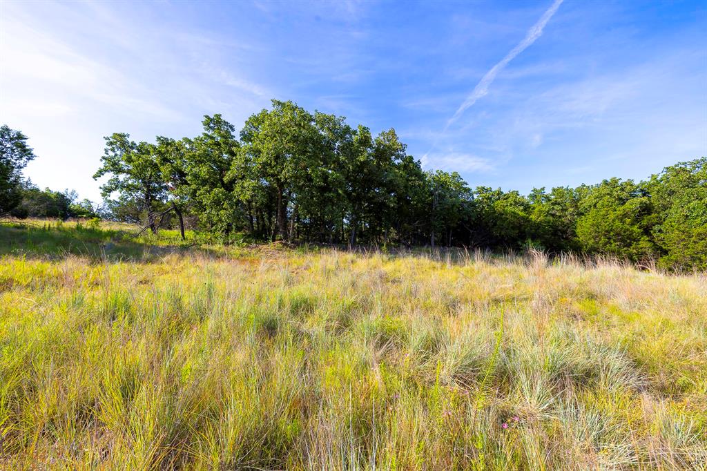 TBD County Road 239