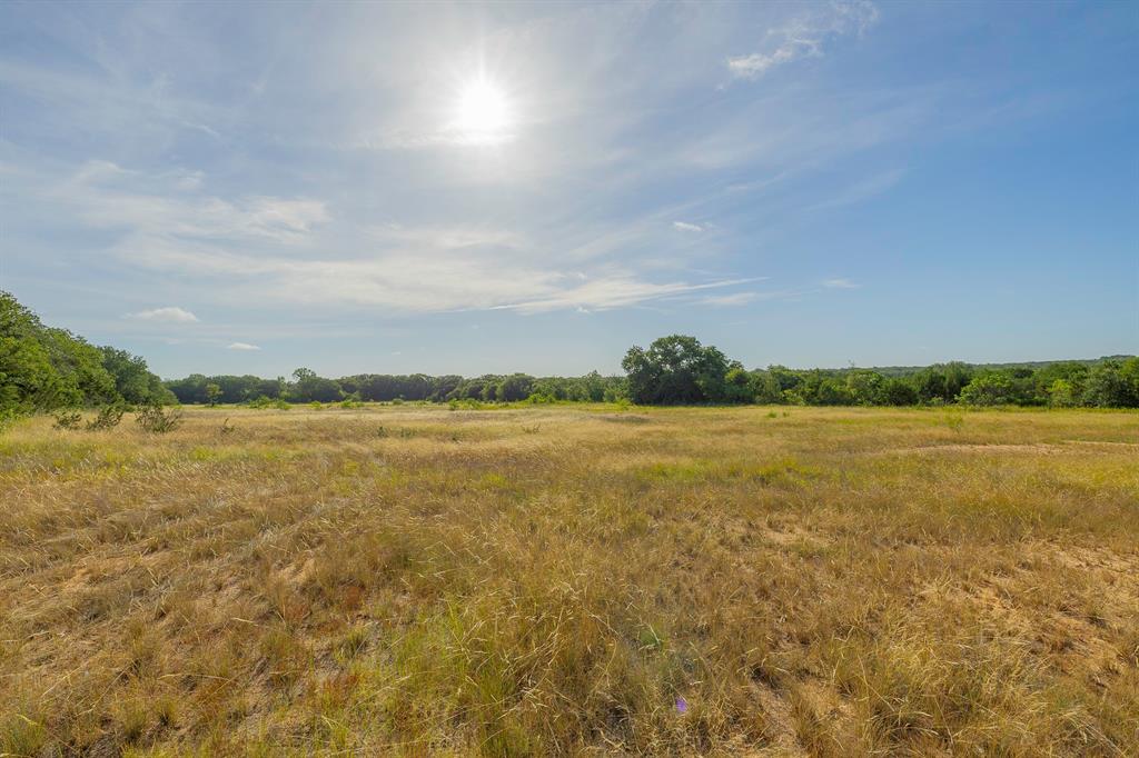 TBD County Road 239