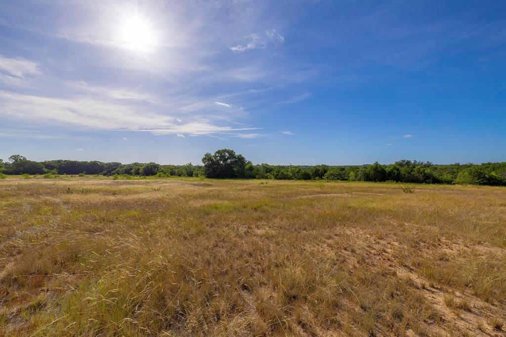 TBD County Road 239
