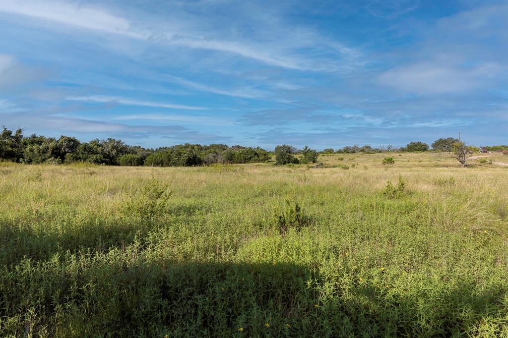 TBD County Road 239