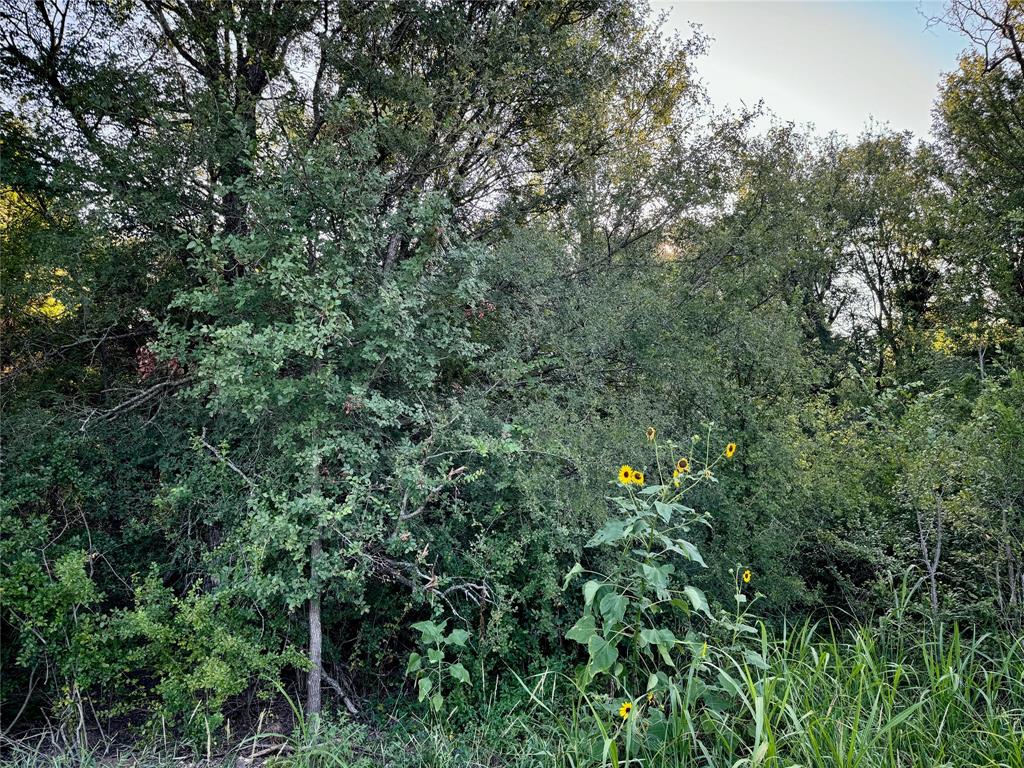 FIREFLY HOLLOW ADDITION - Land