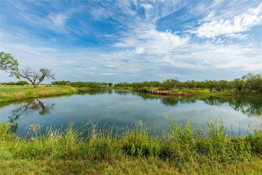 We are very pleased to have the exclusive listing on the Winding Creek Ranch in Jones County, TX.

The ranch is aptly named as Red Mud Creek winds throughout the property for almost 2.5 miles. The owners have groomed the Winding Creek Ranch into a wildlife mecca with a focus on wing shooting. Improvements include the Headquarters home, lodging for over 40 guests, sporting clay range, 700-yard target range, grass airstrip, and a huge entertainment and dining area, complete with a wet bar. This ranch was built for entertaining!

812± acres with almost a 50 50 mix of cultivation and brush.  Most of the cultivation is used to grow sunflowers or grasses and weeds beneficial to dove, bobwhite quail, and Rio Grande turkey.  Approximately 120± acres on the NW corner are typically planted in cotton.  Seller will divide.

The owners have done a great job of building very nice improvements.   There are too many improvements to mention.  Contact agent for more details.