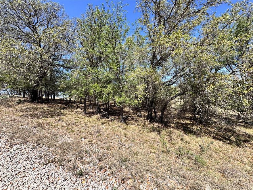Great lot in Oak Point. This .5 acre home lot is ready for you to come build your dream home. This lot will have access to water from Zephyr water. Located in the gated community of Oak Point, you have access to two boat ramps, a community fishing and boat dock, parks, free RV parking for guests, and so much more. Come take a look today and see all of the wildlife that runs around here.