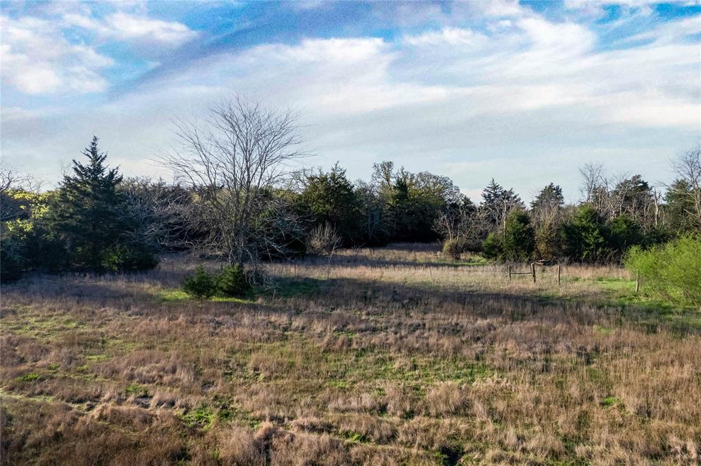 WATSON ZEPHANIAH - Land