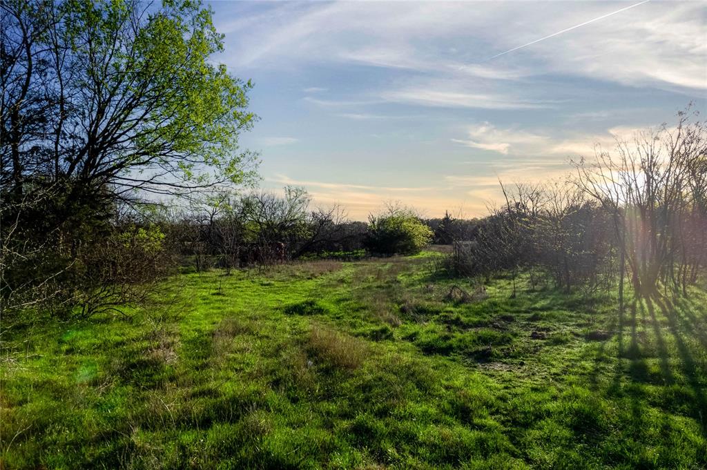 WATSON ZEPHANIAH - Land