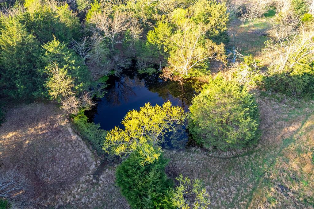 WATSON ZEPHANIAH - Land