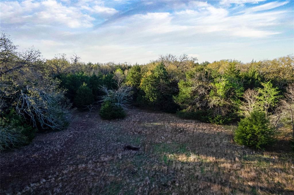 WATSON ZEPHANIAH - Land