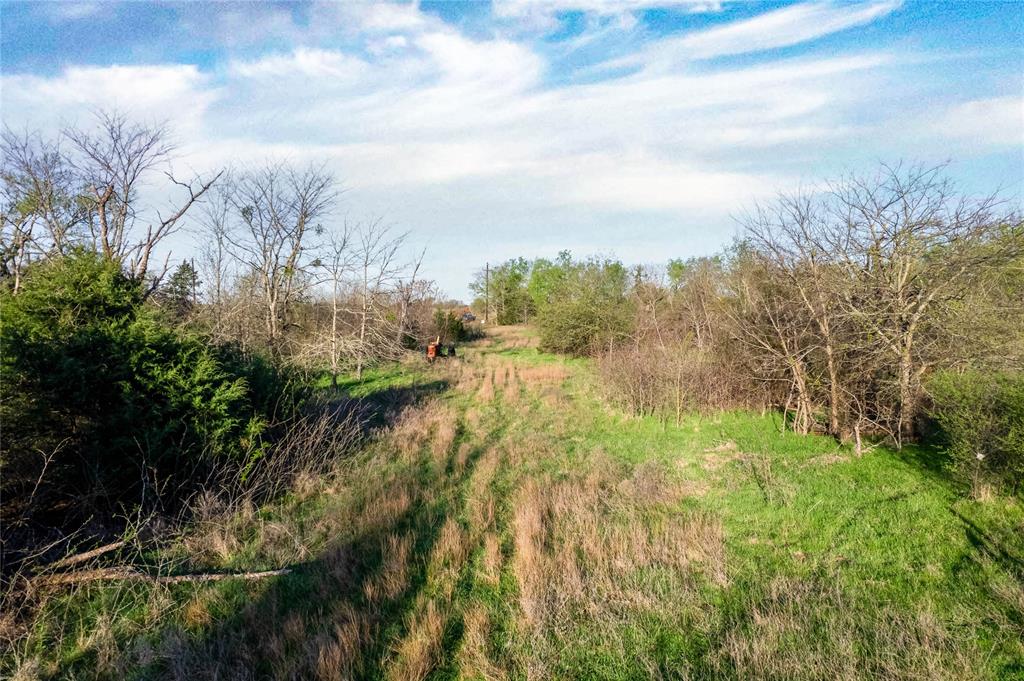 WATSON ZEPHANIAH - Land