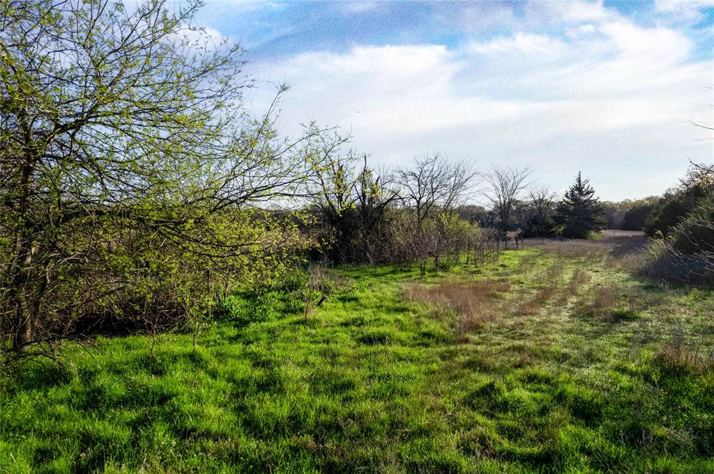 WATSON ZEPHANIAH - Land