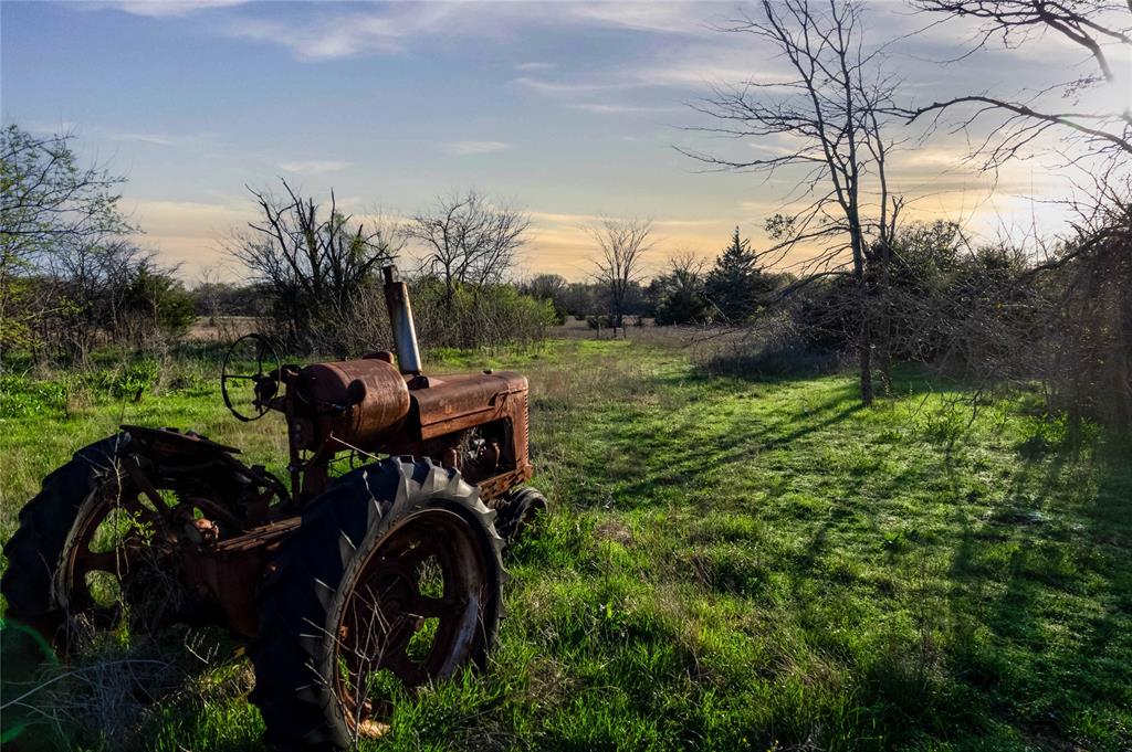 WATSON ZEPHANIAH - Land