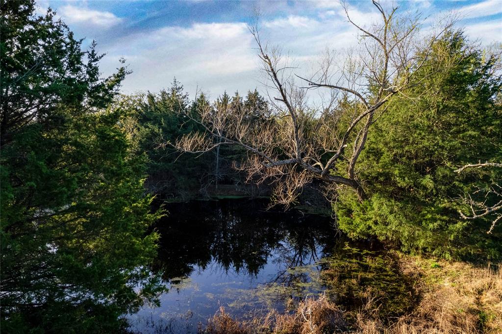 WATSON ZEPHANIAH - Land