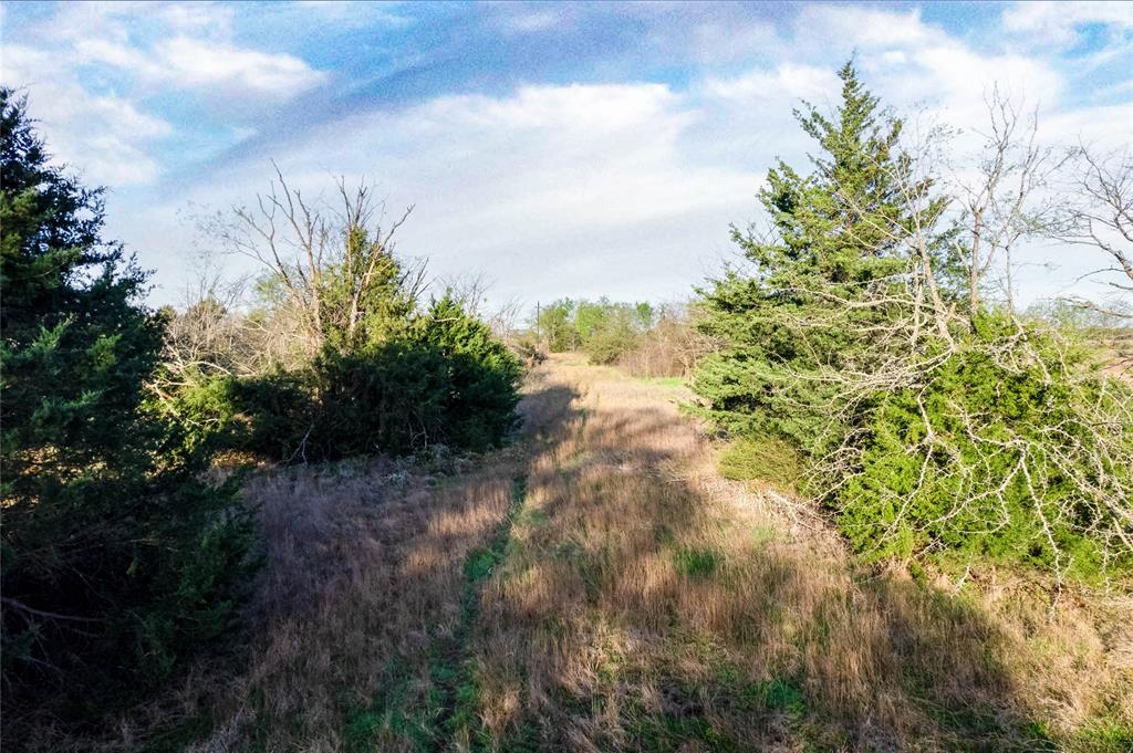 WATSON ZEPHANIAH - Land