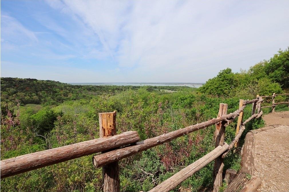 THE WOODS 11TH SEC REV - Residential