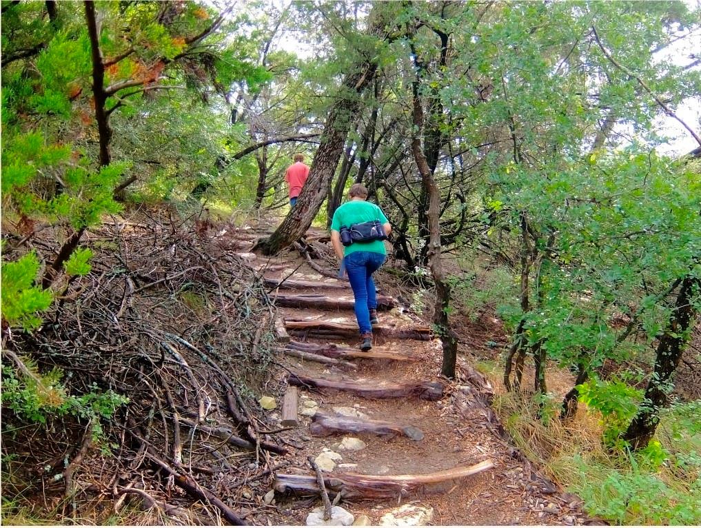 THE WOODS 11TH SEC REV - Residential