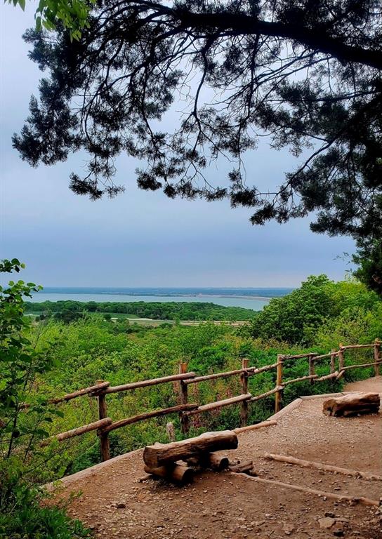 THE WOODS 11TH SEC REV - Residential