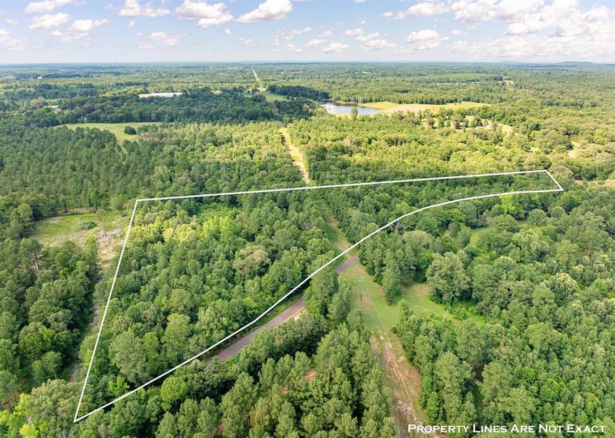 HEAVILY WOODED TRACT WITH LOTS OF WILDLIFE AND TIMBER! No known restrictions. Great for building your dream home or just use as a recreational getaway. Small creek runs on east side of property. Situated about 7 miles north of Gilmer and 12 miles south of Pittsburg. Water and electricity available.