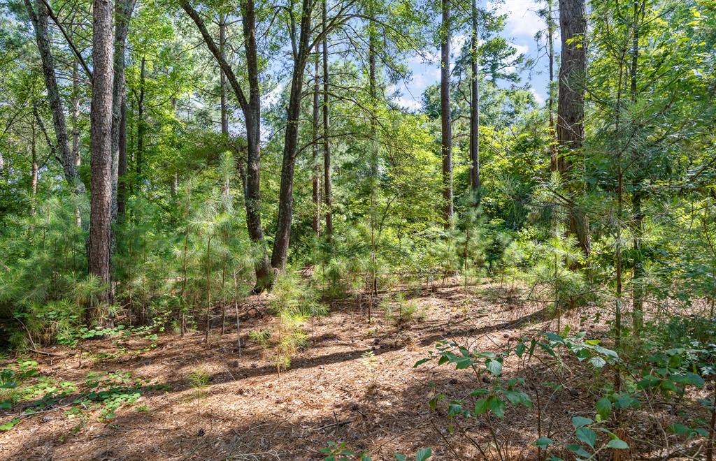 John Lee Survey - Land