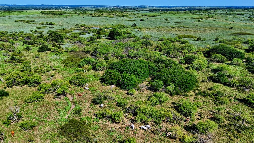 T.E.&L. Co. Survey - Farm